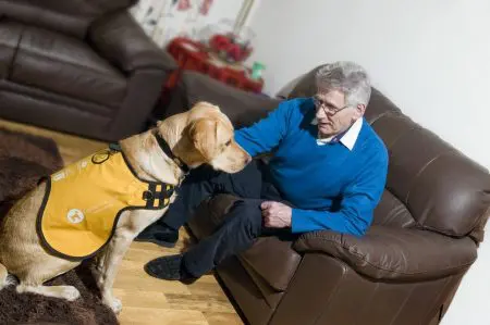dementia dog sits with man in armchair