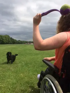 girl in wheelchair throws stick for assistance dog