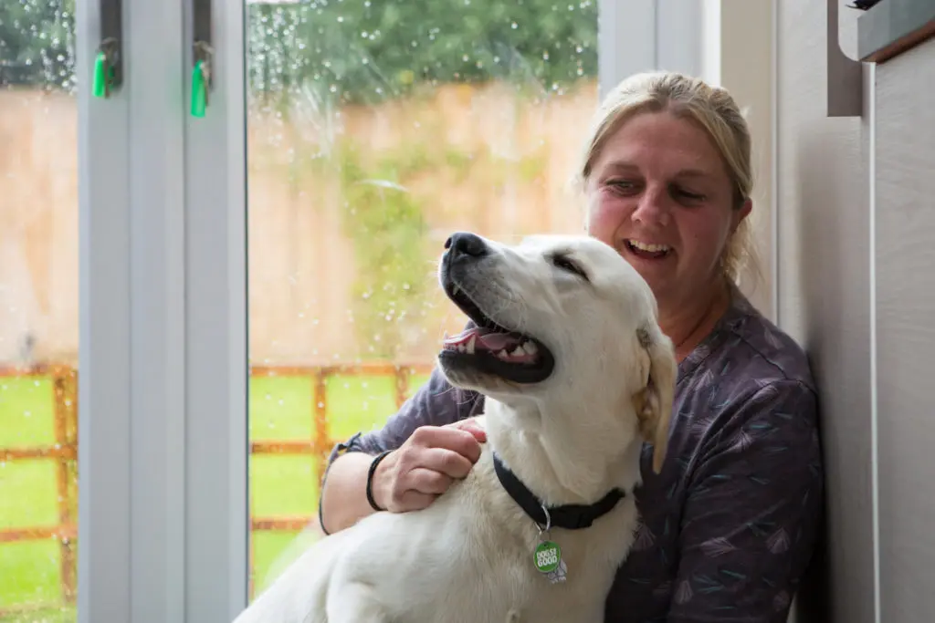 Volunteer at home with young labrador dog