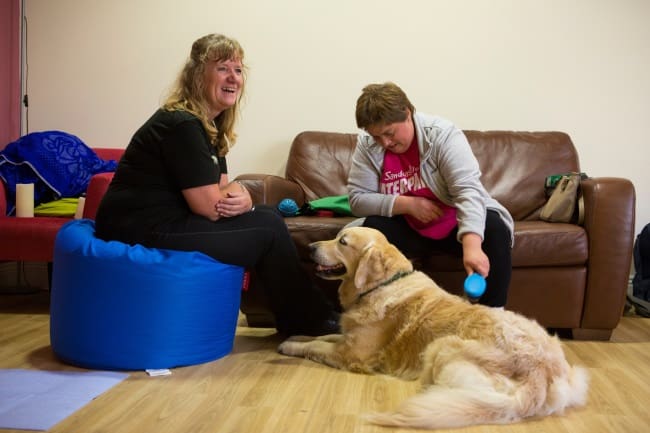 dog community handler service dogs sarah meet team residential schools