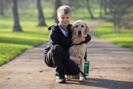 boy cuddles assistance dog in park