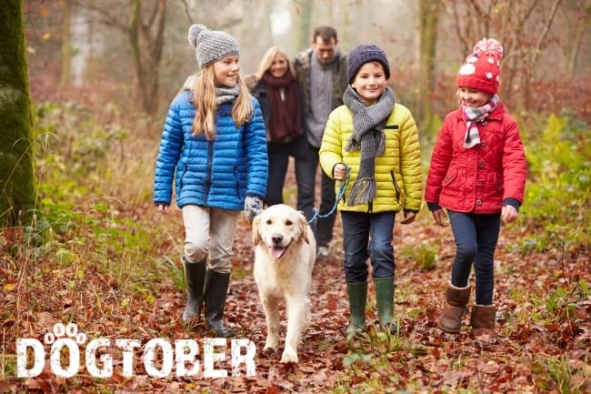 Dogtober family walk with dog