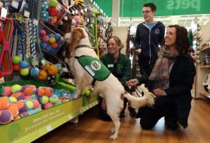 assistance dog chooses toy in pets at home store
