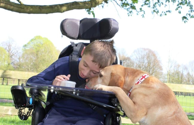 8 ways assistance dogs help children with physical disabilities