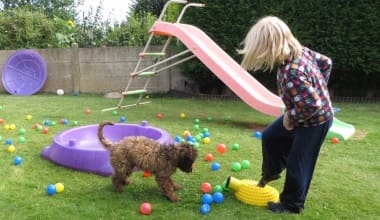Summer Holidays And Children With Autism Dogs For Good