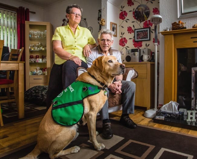Ken and Glenys with Labrador Dementia Assistance Dog