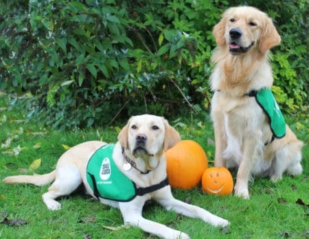 Dogs for Good at Halloween