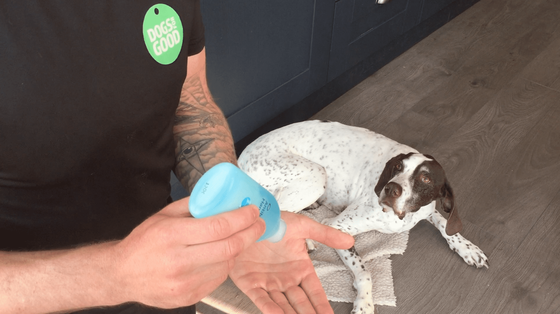 Getting Your Dog Used to Hand Sanitiser after Lockdown