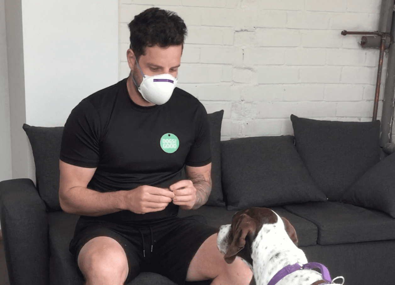 Introducing Your Dog to Face Masks before You Venture Out