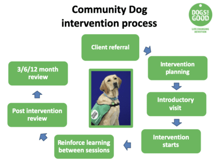 What is Animal Assisted Intervention? - Dogs for Good