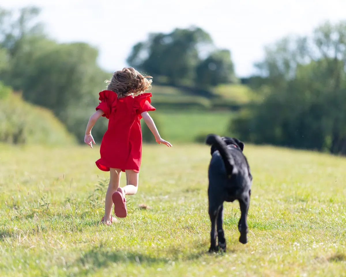 Autism Assistance Black Labrador Child Field Running Backfacing