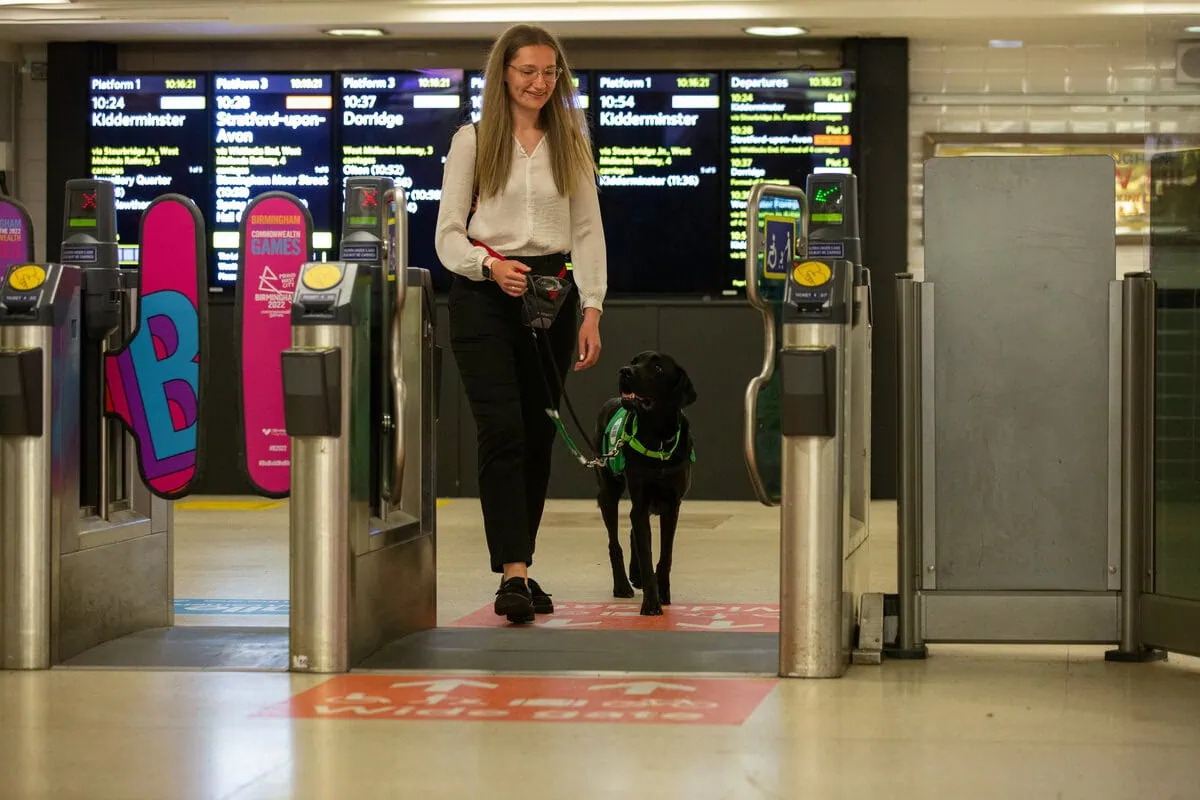 Physical Disability Assistance Black Labrador Walking Adult Ticket Barriers Train Station Frontfacing
