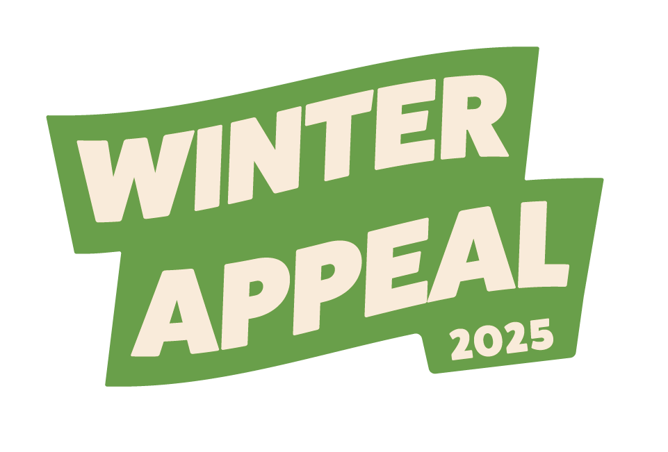 Dfg Stickers Cutout Png 07