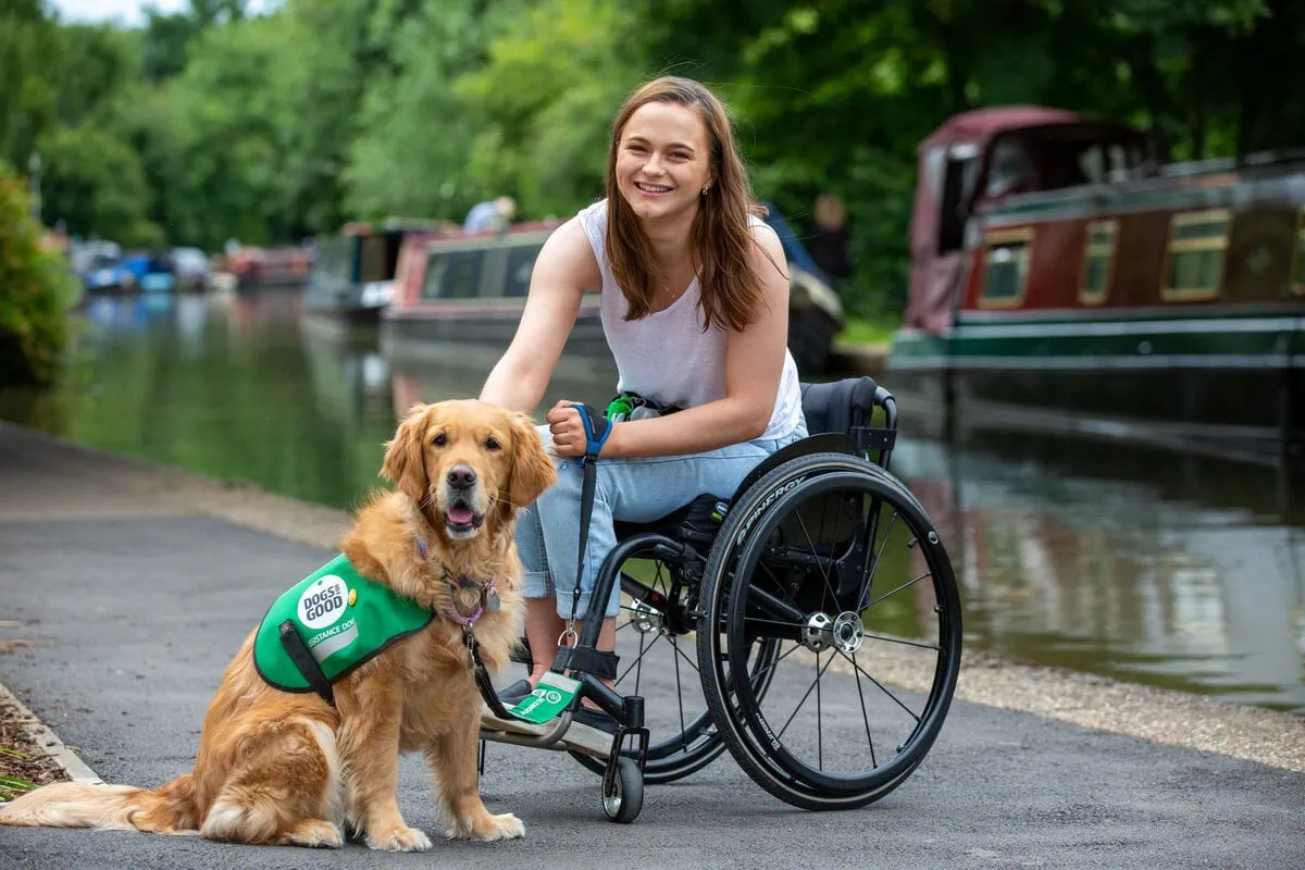 Physical Disability Assistance Golden Retreiver Sitting Adult Stroking Wheelchair Canal Frontfacing