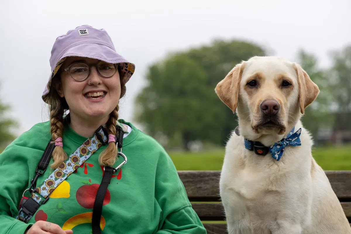 Physical Disability Assistance Yellow Labrador Sitting Adult Park Bench Closeup Frontfacing