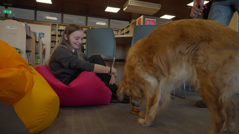 School Student Golden Retriever Sitting Smiling Library