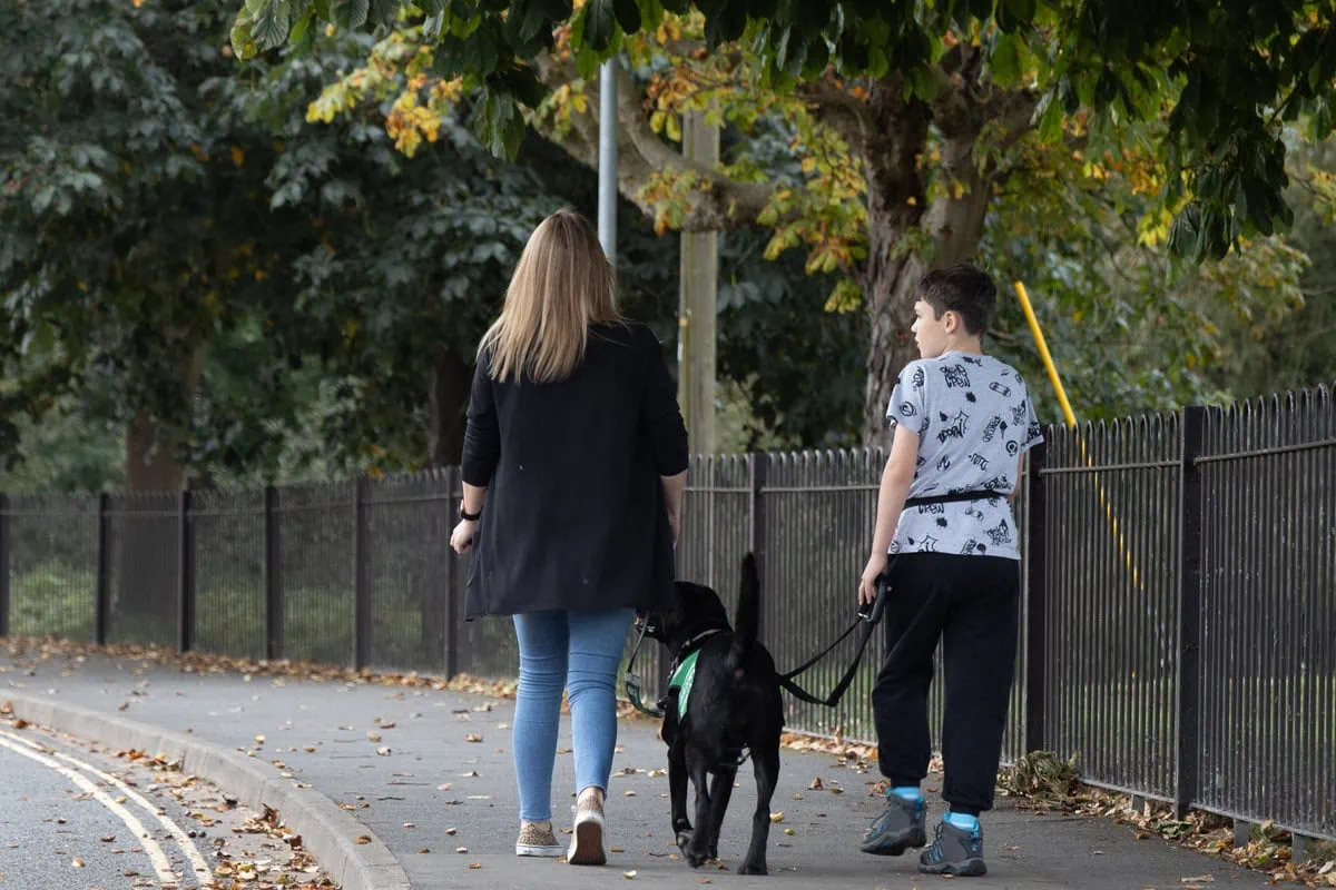 Autism Assistance Black Labrador Child Parent Walking Road Autumn Park Backfacing