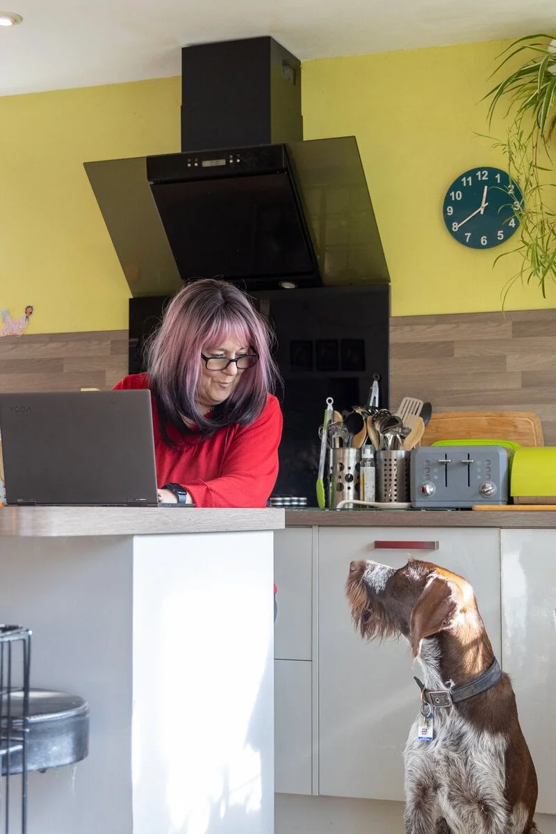 Family Dog Wire Haired Pointer Sitting Kitchen Adult Working Sideview