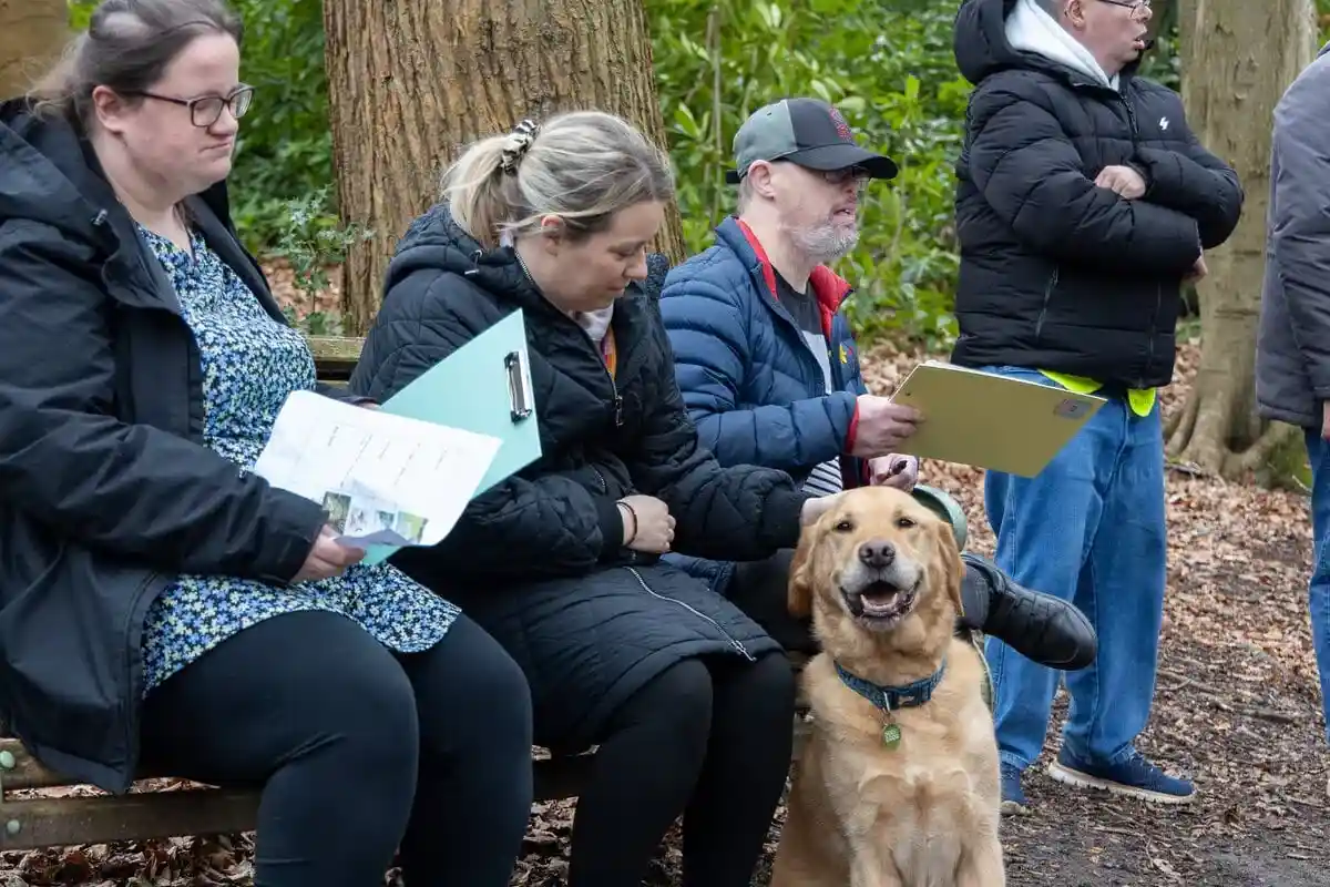 Community Golden Retreiver Sitting Woods Adults Carers Sideview