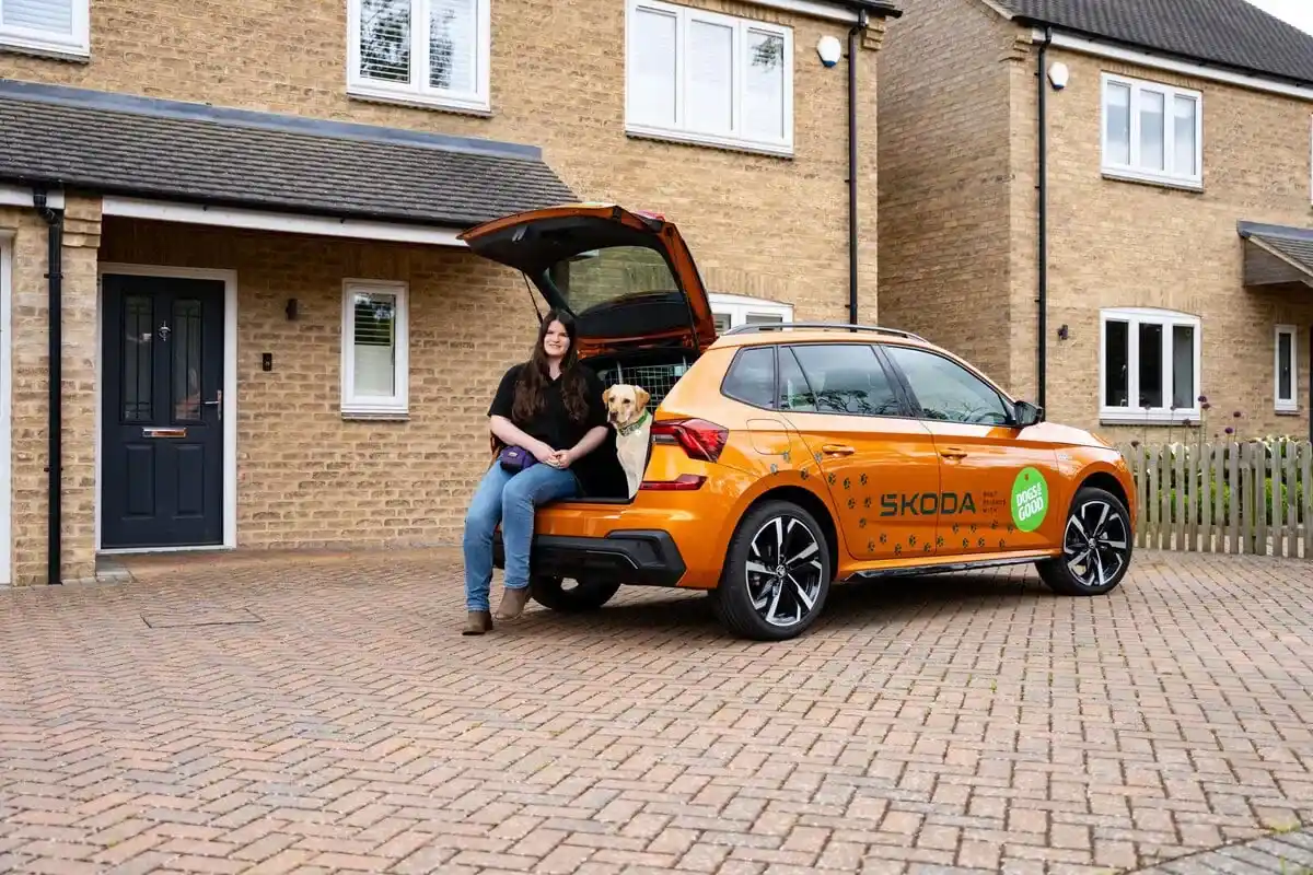 Assistance Yellow Labrador Sitting Boot Orange Skoda Car Adult Sitting Driveway Sideview