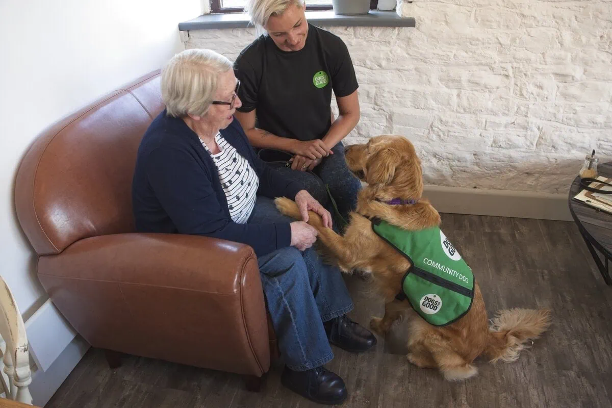 Community Golden Retreiver Sofa Adult Trainer Bonding Giving Paw Sideview