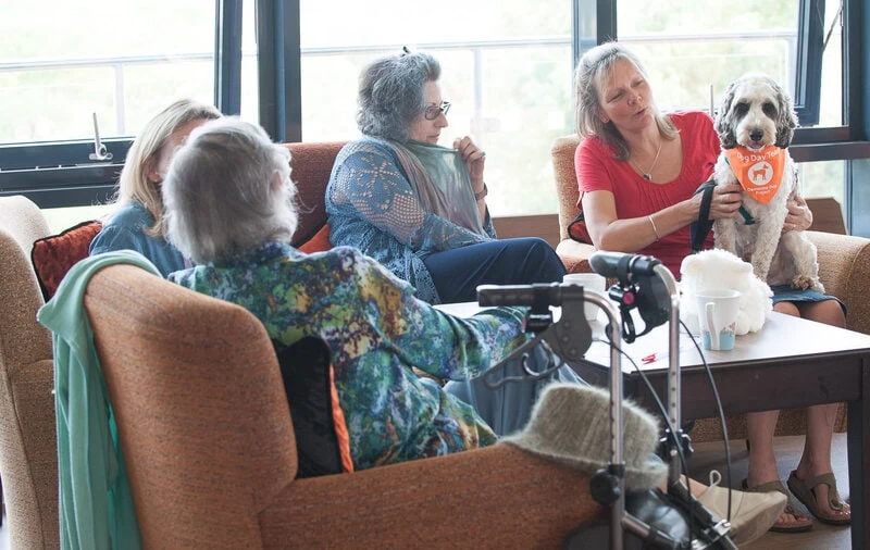 Volunteer with pet dog on her lap in a community setting chat with three other people. The dog is wearing an orange bandana and the people are sitting on brown chairs.