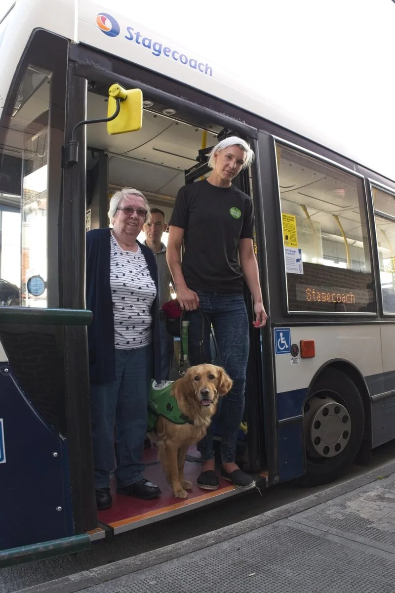 Community Golden Retreiver Bus Adult Trainer Smiling Sideview