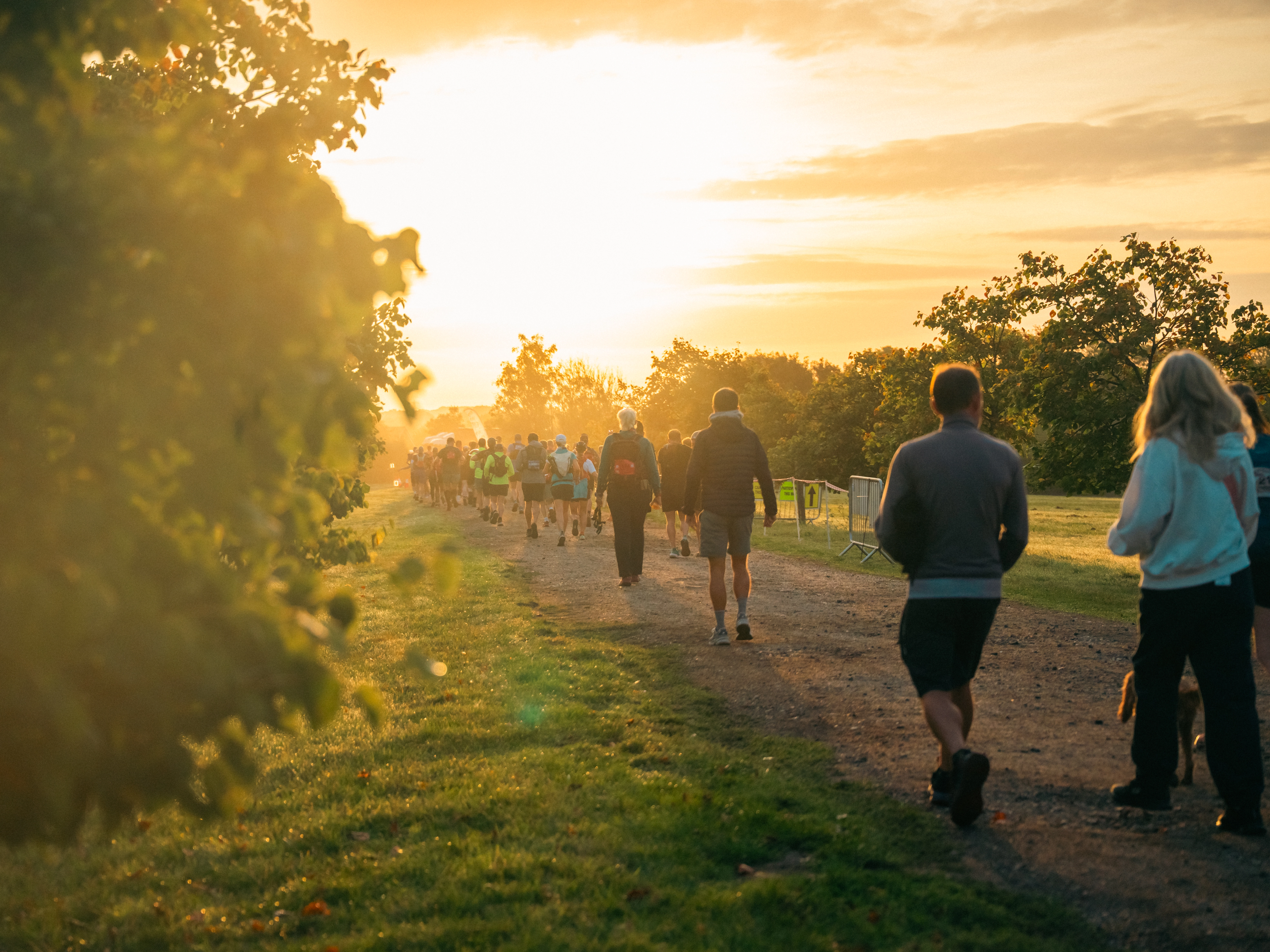 Kent Downs 50 Ultra Challenge participants walking through trail lined with green trees. The sun is setting in the sky.
