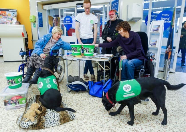 Group of people and dogs fundraising in a supermarket