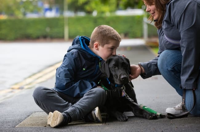 Autism assistance dog team