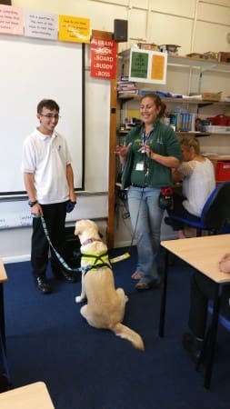 dogs in schools 