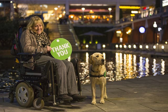 Anne in wheelchair holding a thank you sign with assistance dog Twickers beside her