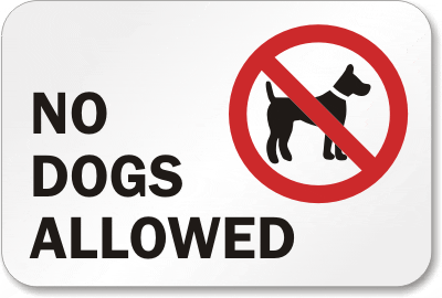 No-Dogs-Allowed