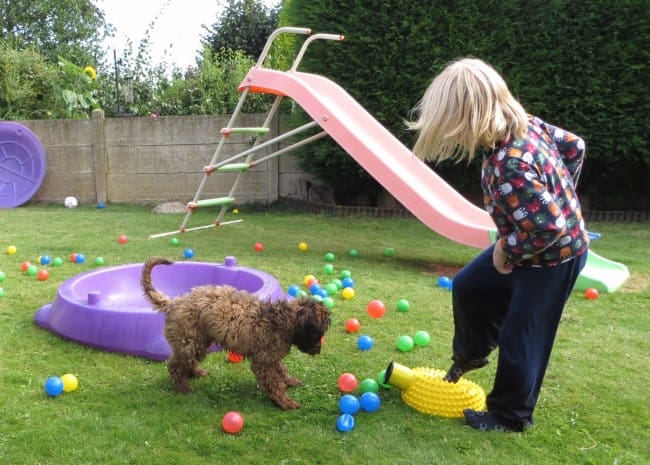 Top 5 games for children to play with their dog