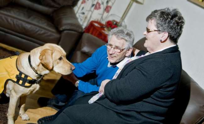 Dementia Dog Kaspa