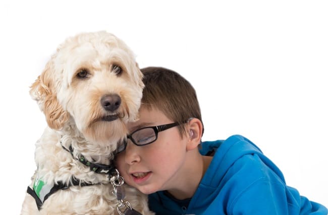 8 ways assistance dogs help children with physical disabilities