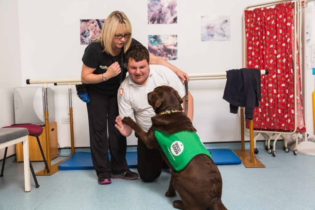 Benefits dogs bring to hospital patients