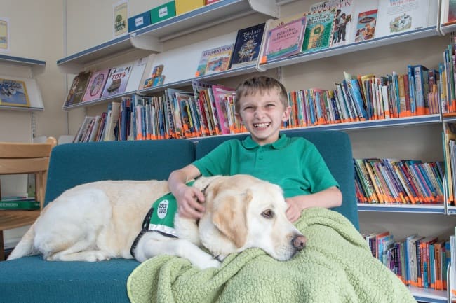 Guidance for introducing a dog to your school - Dogs for Good