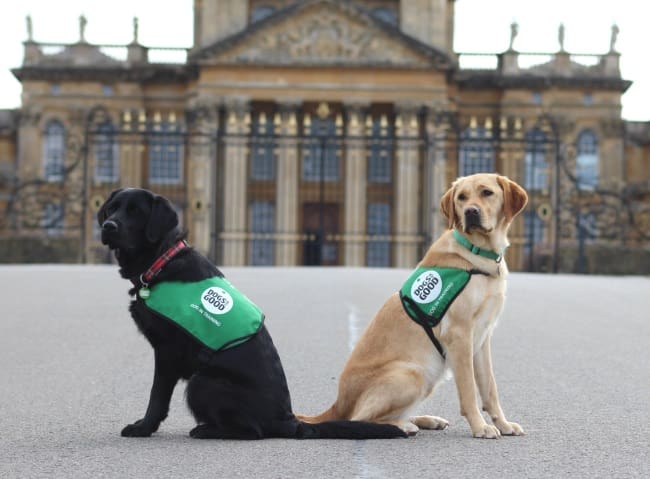 Chosen charity for Blenheim Palace Horse Trials 2018