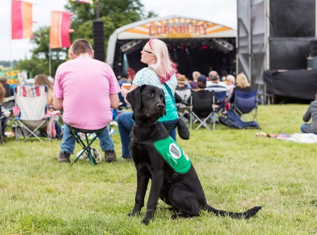 Cornbury Festival 2018 - win tickets