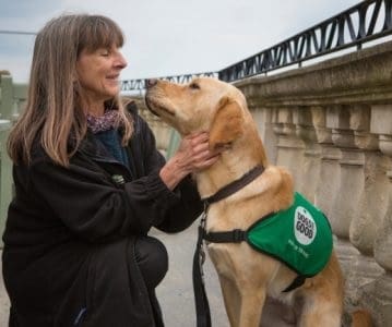 Puppy socialiser