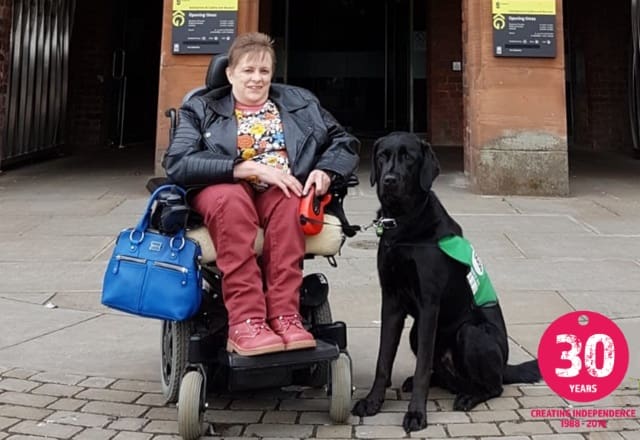Defying the odds with life-changing Labradors