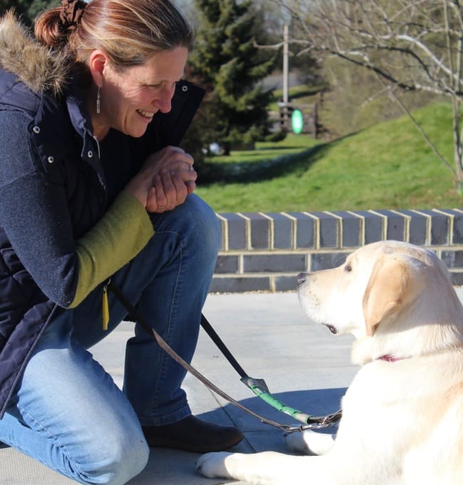 Preparing puppies to be life-changing assistance dogs