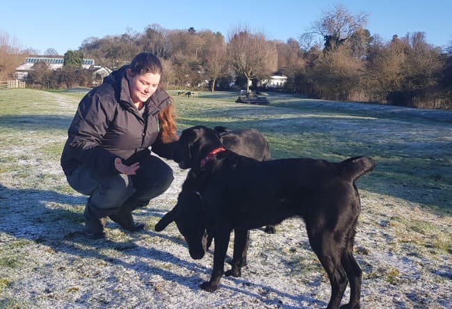 Caroline from our Kennels Team in snowy field with two black Labradors
