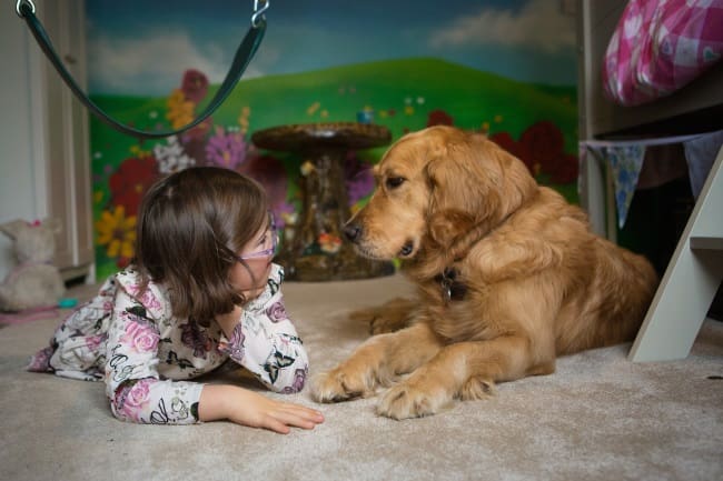 Eight year old Milli and her assistance dog golden retriever Emma in Milli's bedroom