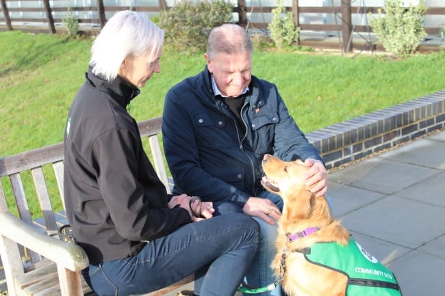 Community dogs for dementia - intervention vists