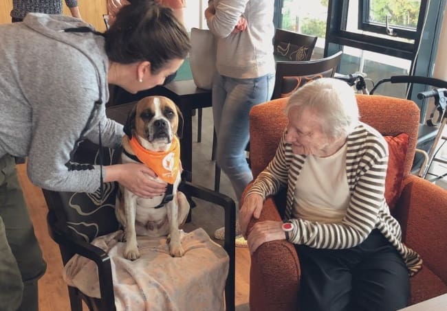 community dogs for dementia - dog day events