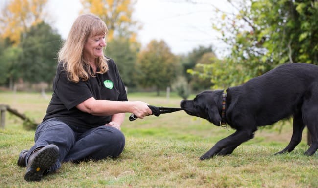 Meet the team - community dog handler Sarah