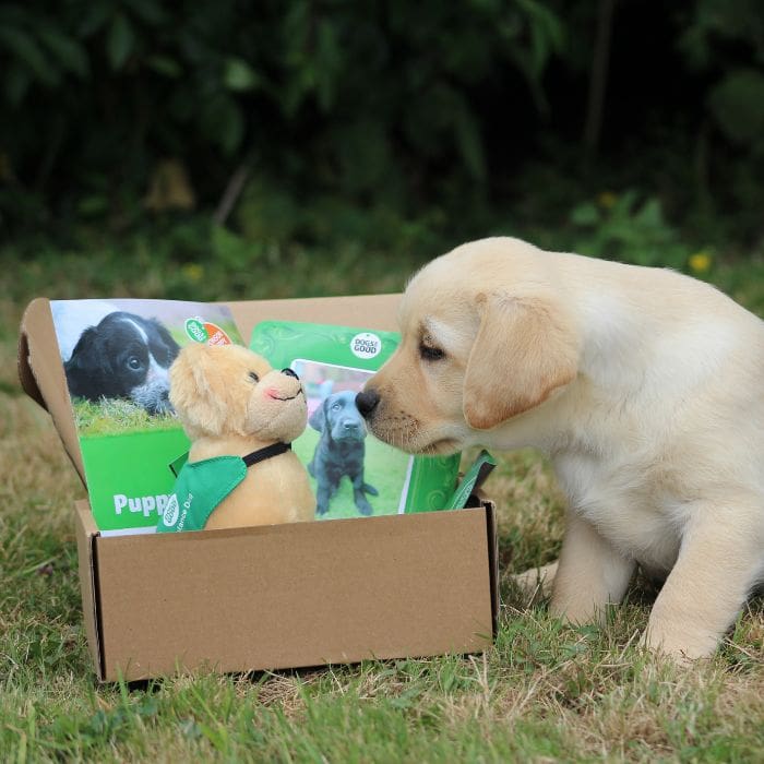 Sponsors of Jeff & Nick will receive a Puppy Pack